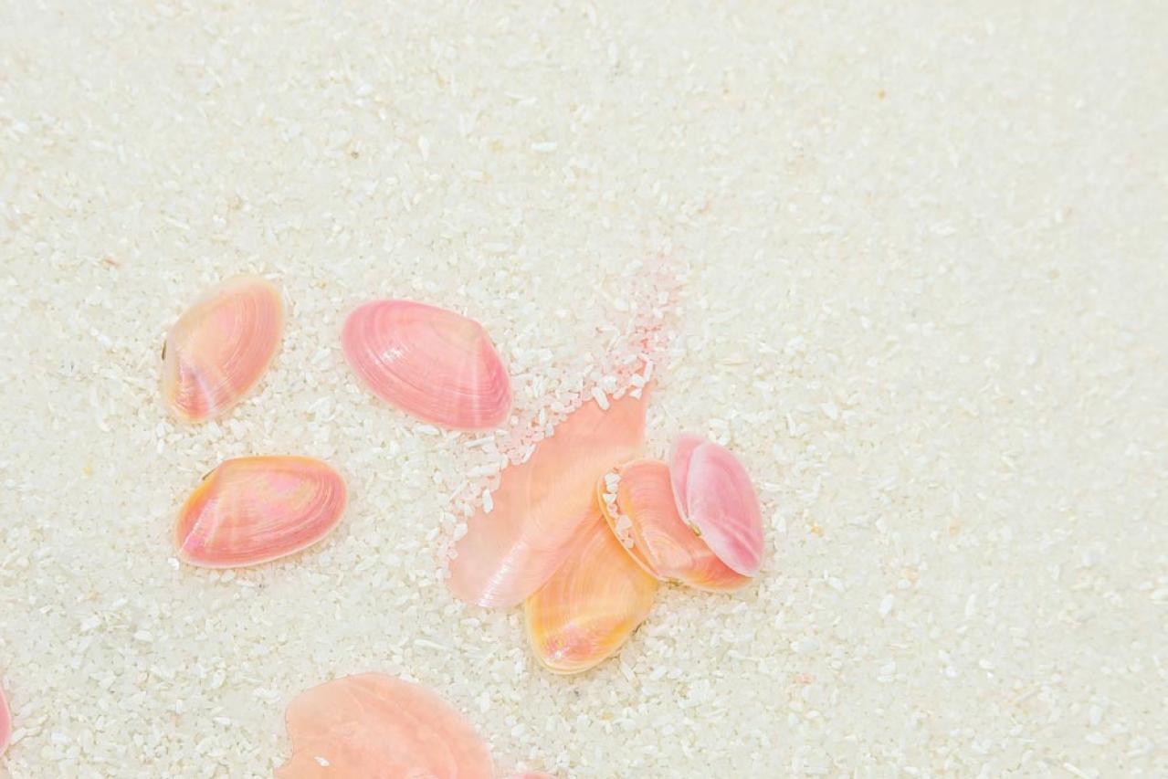 ついにスタート！！【続・続・最後から二番目の恋】千明と和平のつながりの確かさを教えてくれたコロナ禍の描写にほっこり！第1話レビュー（画像2）