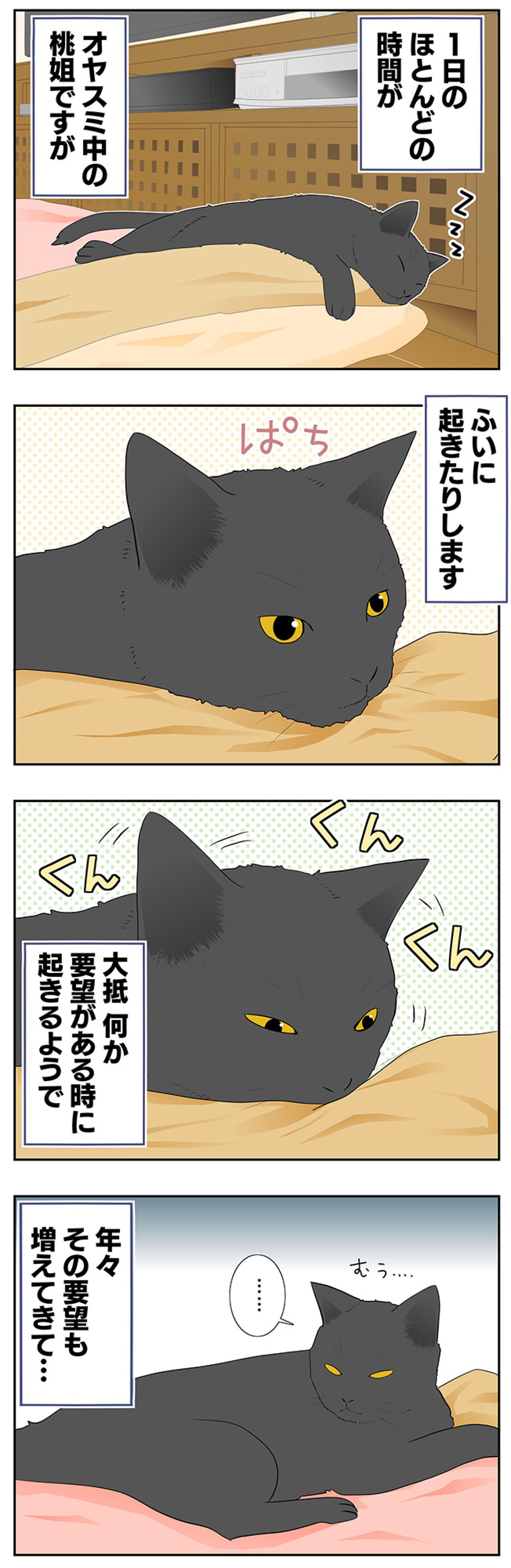 【マンガ・老猫日誌＃23】年々、要望が増えていく猫…19歳の元保護猫・桃姐（画像2）