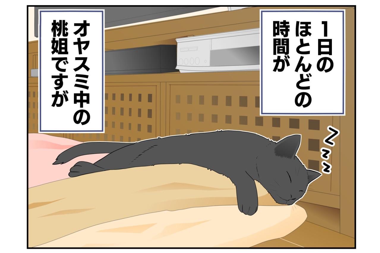 【老猫マンガ】年々、要望が増えていく猫…18歳の元保護猫・桃姐［＃23］
