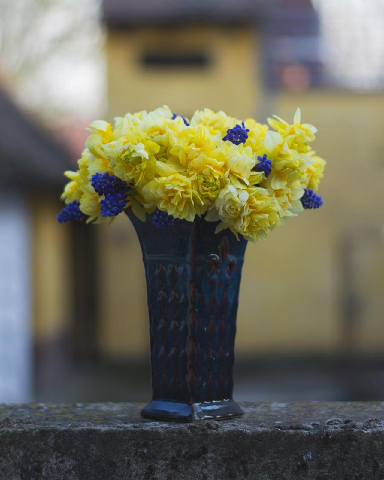 【ガーデニング】可愛いモッコウバラの育て方と、注意したいこととは？（画像2）