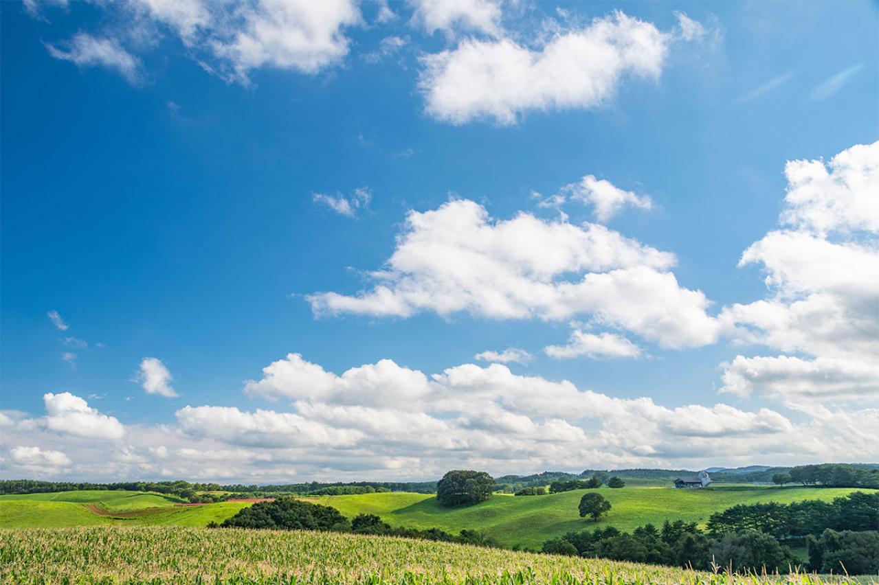 宮沢賢治の『グスコーブリの伝記』あらすじ紹介。人類を救うために自らを捧げることはできるのか？