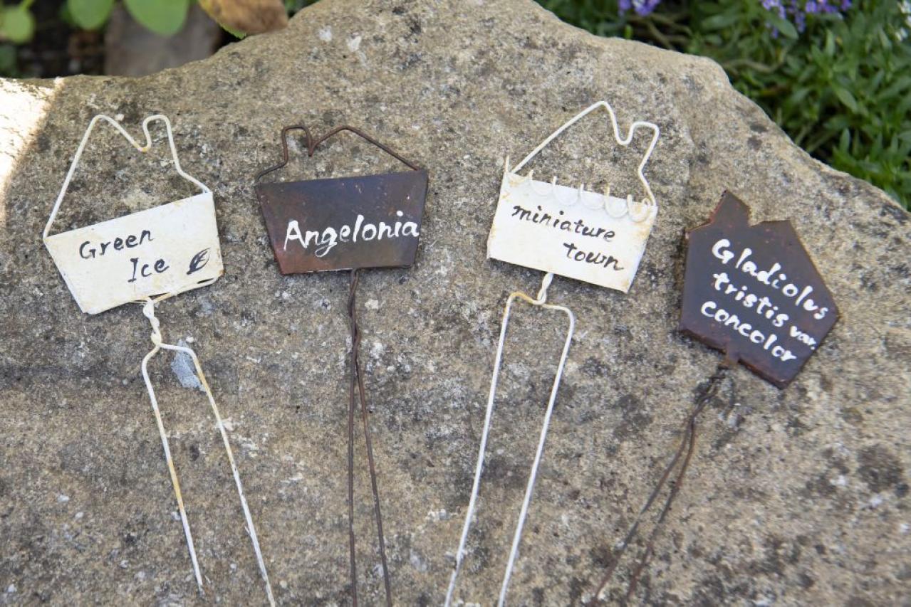 【ガーデニング】簡単に作れる“リメ缶アレンジメント”で庭作りをもっと楽しく！（画像2）