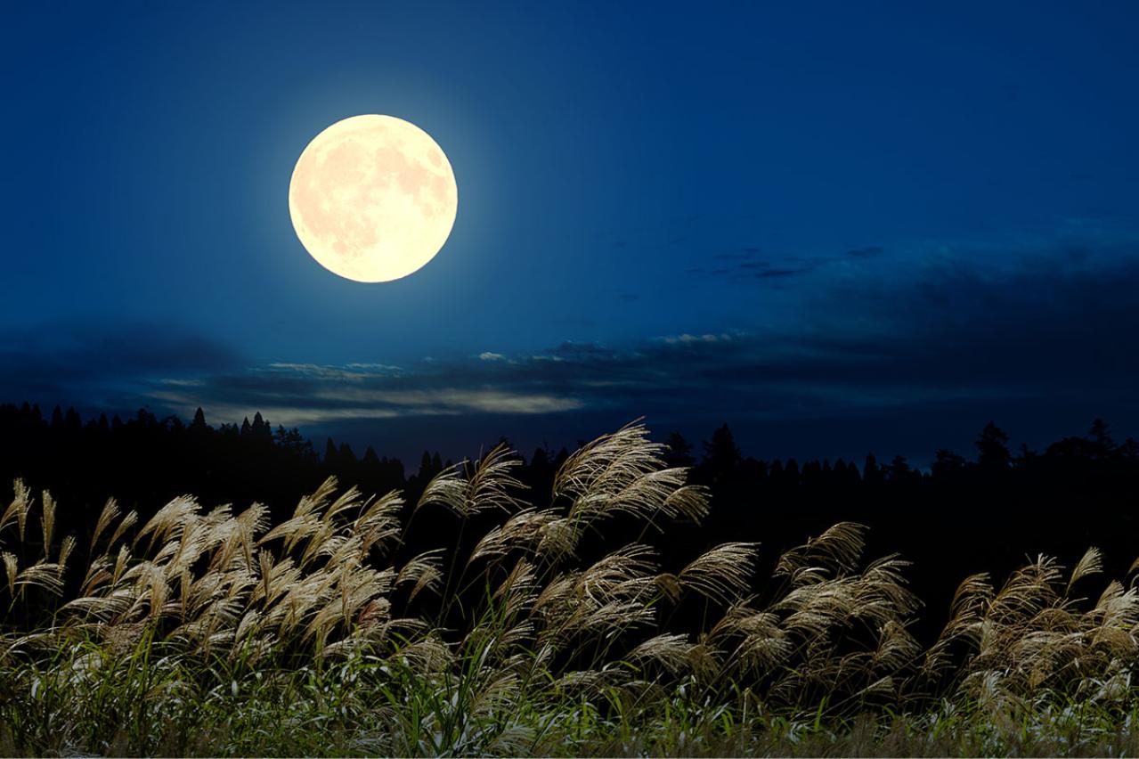 宮沢賢治の『ポラーノの広場』あらすじ紹介。夢と希望が広がる繊細な物語