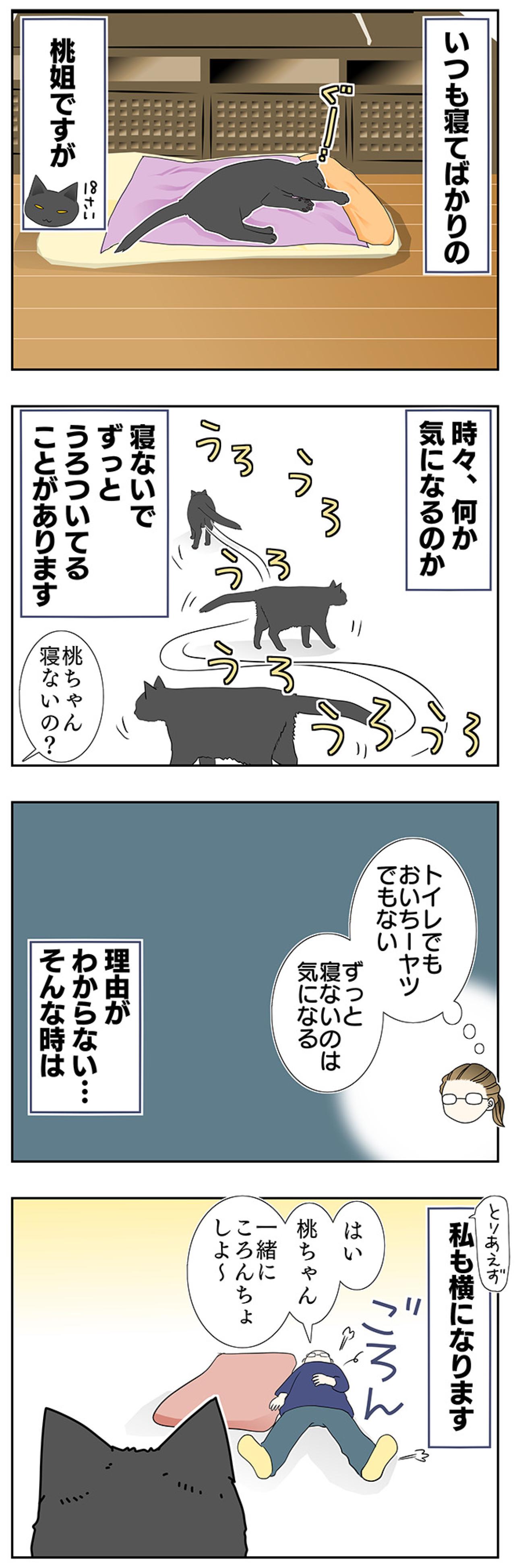 【老猫マンガ】なぜか寝ない猫…18歳の元保護猫・桃姐［＃24］（画像2）