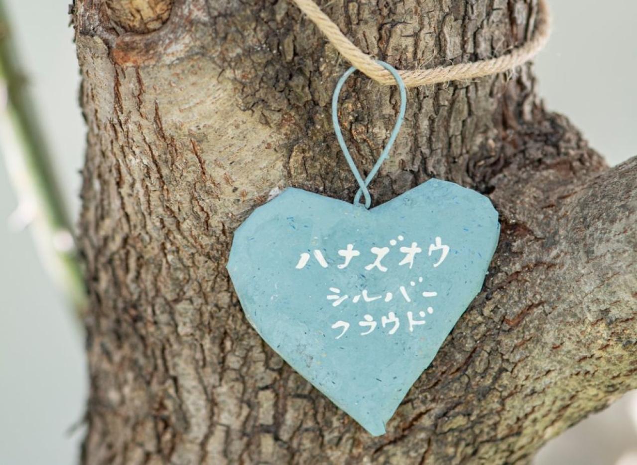 【ガーデニング】簡単に作れる“リメ缶アレンジメント”で庭作りをもっと楽しく！（画像4）