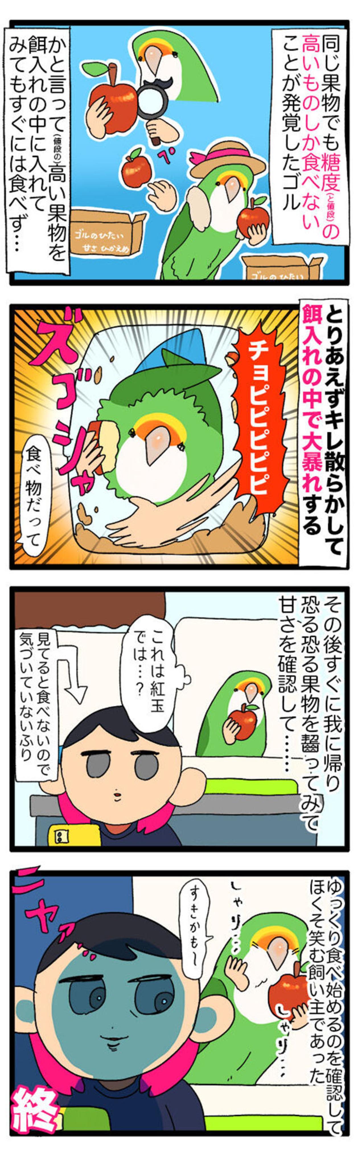【鳥マンガ＃37】ペットカメラが生んだ悲劇／おやつのりんごを気に入った女帝インコ（画像5）