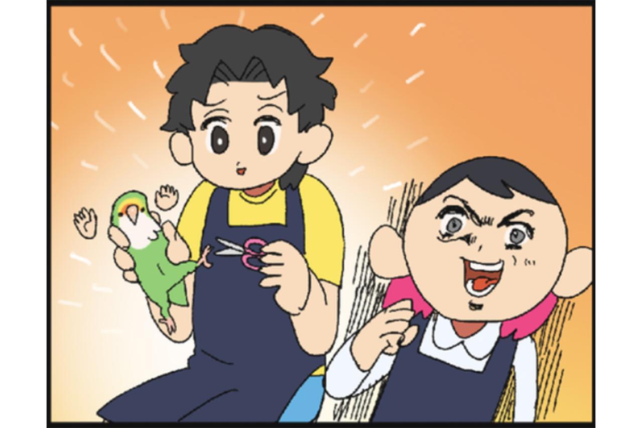 【鳥マンガ＃35】女帝インコに絶対負けない店長／仕事に遅刻しそうになる飼い主あるあるとは？