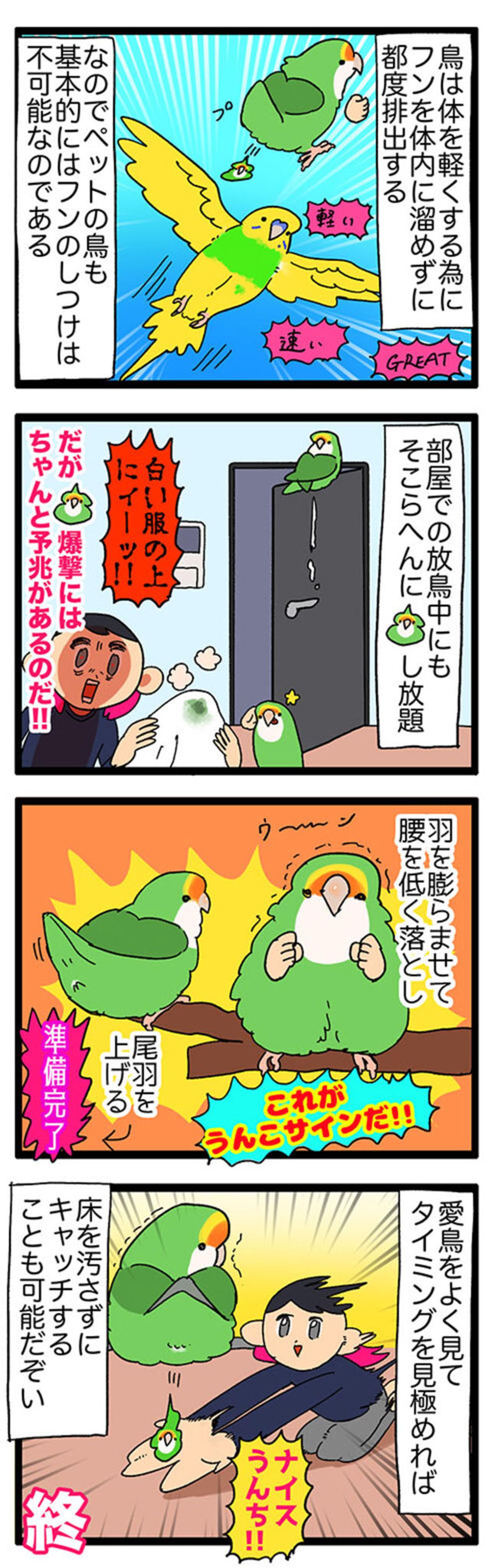 【鳥マンガ＃36】ゲーム中の視界をふさぐインコ／愛鳥の爆撃サインがわかった！（画像5）