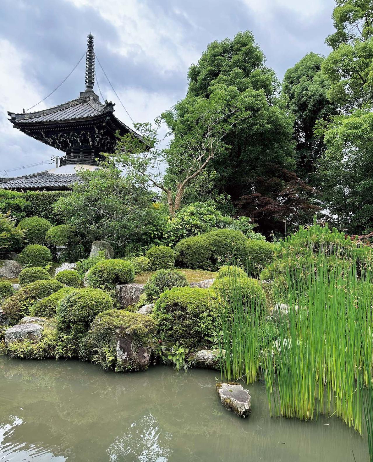 【中道あんさん】初めて宿坊に宿泊、その満足度は？ お気に入りの京都の宿も紹介（画像8）