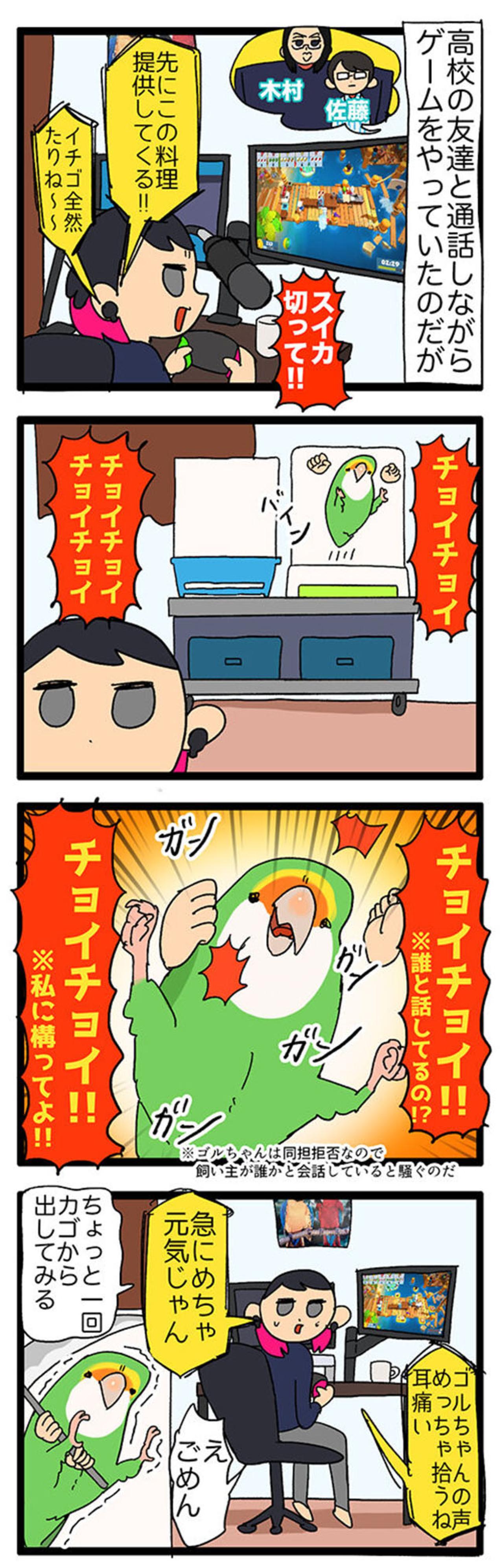 【鳥マンガ＃36】ゲーム中の視界をふさぐインコ／愛鳥の爆撃サインがわかった！（画像3）