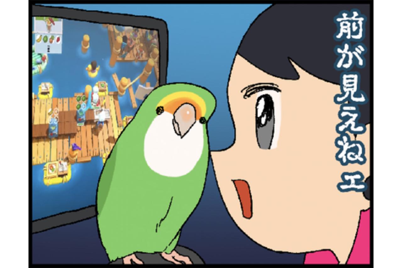 【鳥マンガ＃36】ゲーム中の視界をふさぐインコ／愛鳥の爆撃サインがわかった！