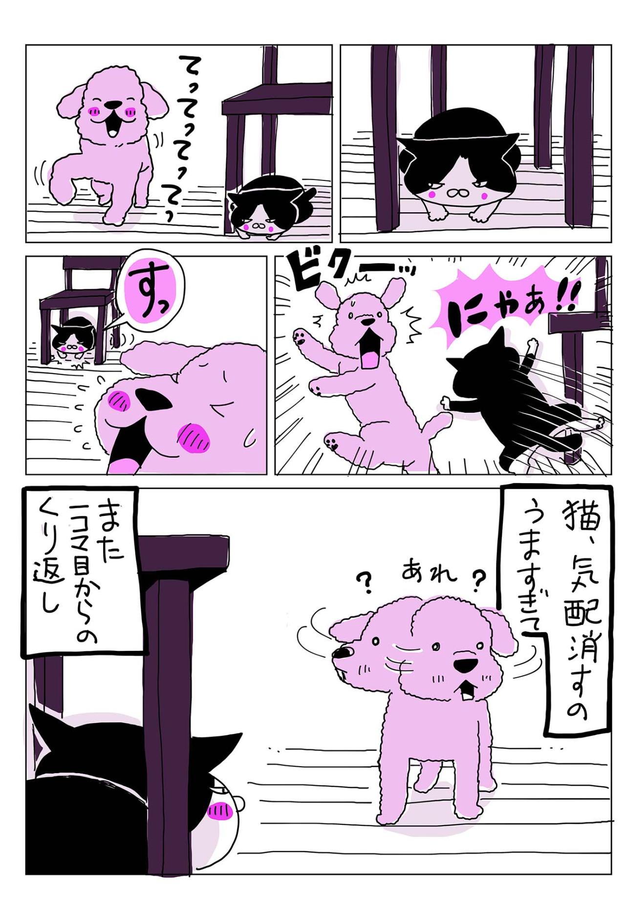 犬と猫、気配を絶つのが得意なのはどっち？ 静けさに秘められた本能の物語（画像3）