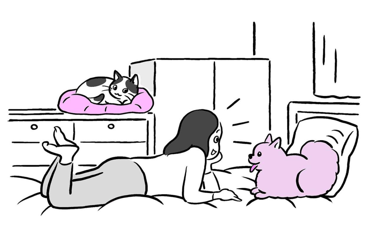 犬と猫、言葉をよく理解するのはどっち？ 研究で見えてきた意外な真実