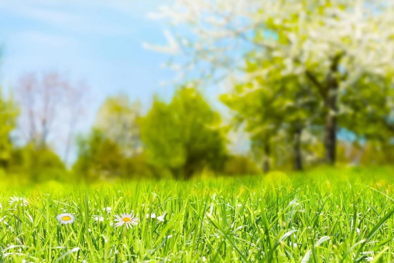 ついに千明（小泉今日子）が動き出した！背中を押したのは典子（飯島直子）だと思う。【続・続・最後から二番目の恋】第2話レビュー（画像2）