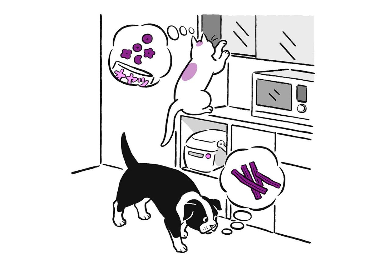 犬と猫、記憶力がいいのはどっち？残るのは楽しい思い出？それともイヤな記憶？