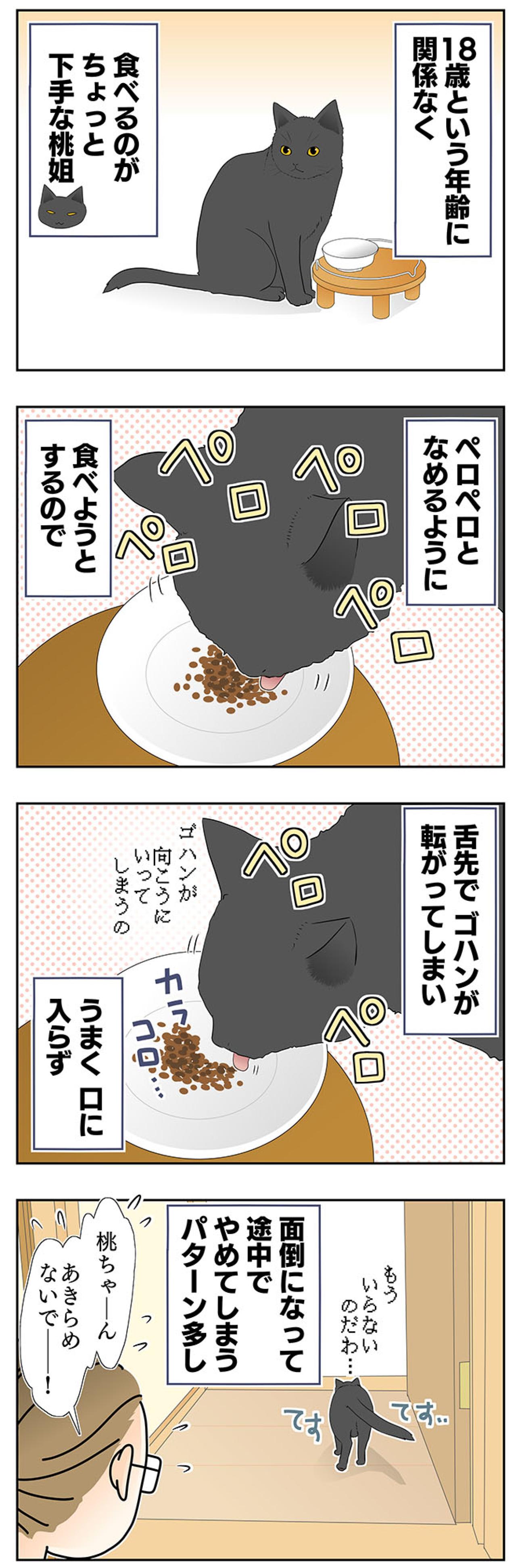 【老猫マンガ】鬱陶しそうな顔をする猫…18歳の元保護猫・桃姐［＃25］（画像2）