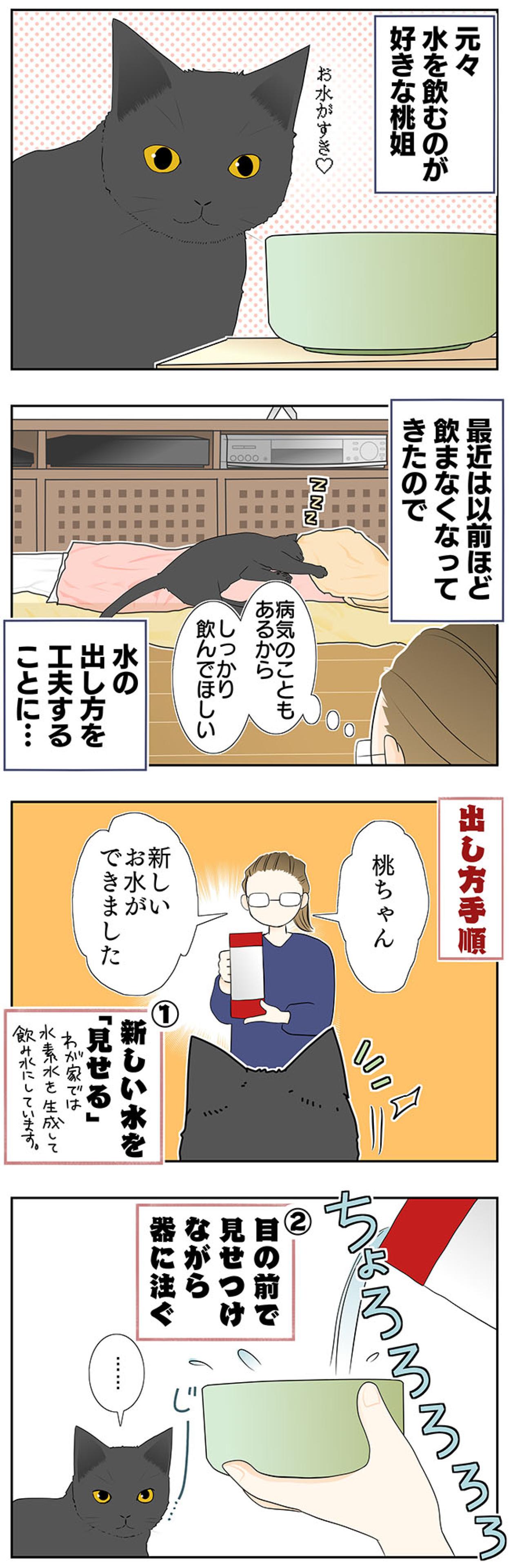 【老猫マンガ】水をもっと飲ませる方法、桃姐の場合。18歳の元保護猫［＃26］（画像2）