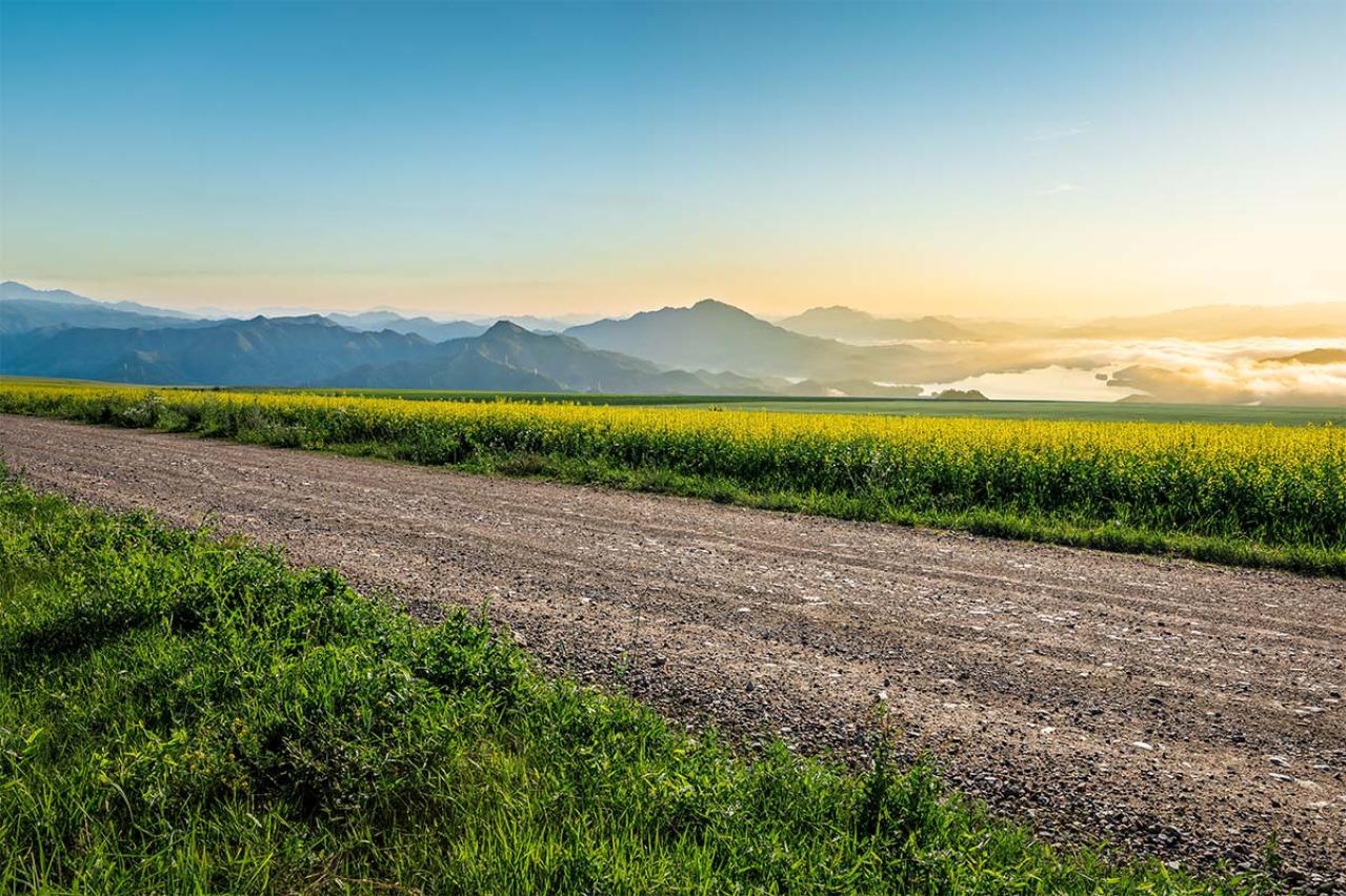 夏目漱石の『草枕』あらすじ紹介。温泉場にいた謎の美女が描く、哀愁物語