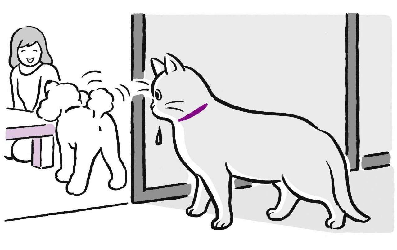 犬と猫、こわがりなのはどっち？ そっと寄り添うためのヒント集（画像2）