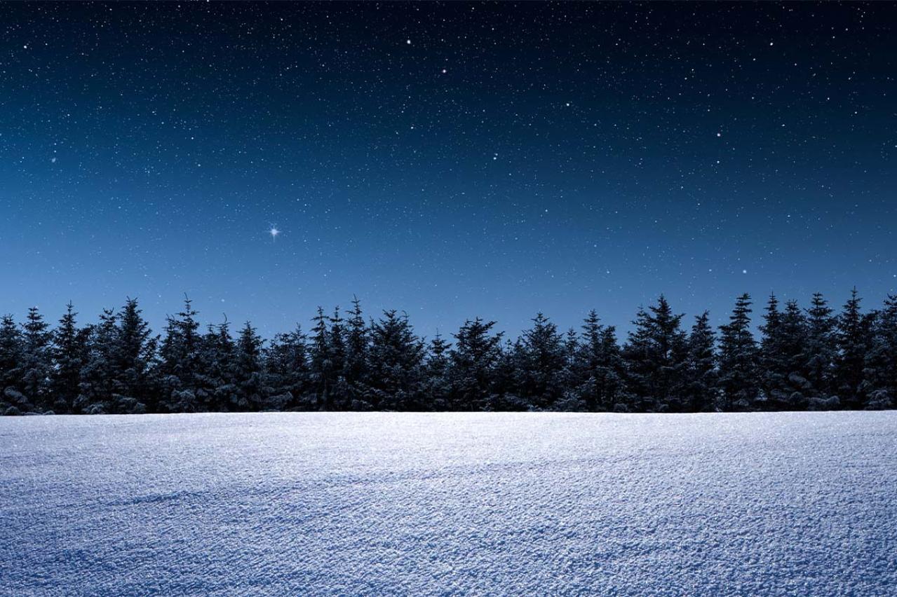 宮沢賢治の『雪渡り』あらすじ紹介。没入必須！狐の学校で繰り広げられる幻想な世界観