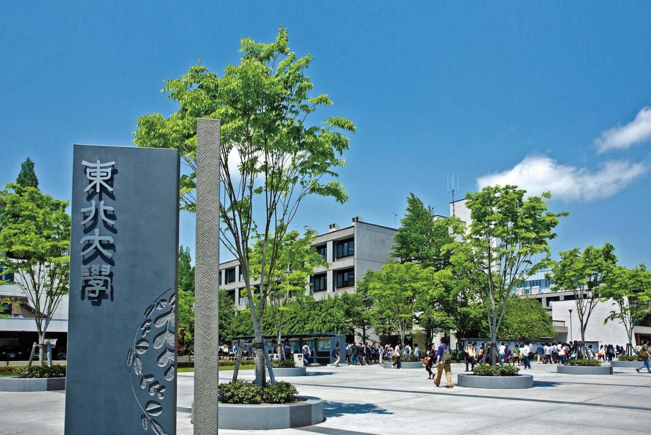 【遺贈寄付】遺言が不要で手軽にできる「信託による寄付」とは？（画像5）