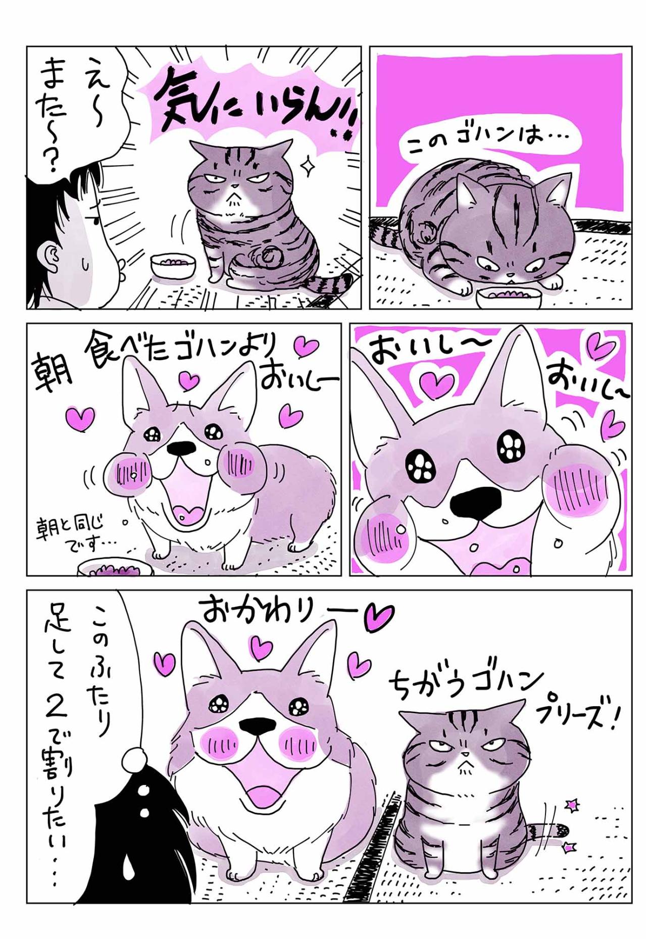 「好きな食べ物が出てくるまで待つ」のはどっち？ 犬と猫の“好き嫌い事情”（画像3）