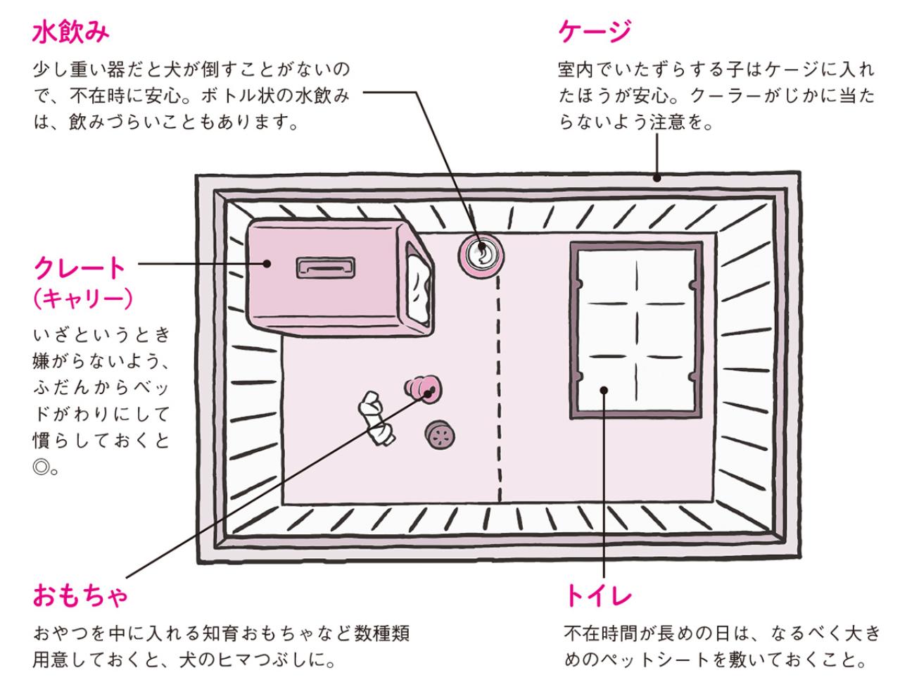 犬と猫、留守番上手なのはどっち？ 猫は人間を“大きな猫”と思っている！？（画像3）