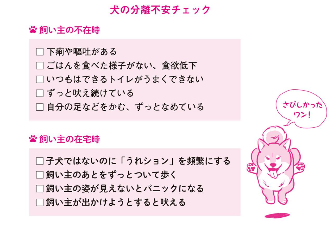 犬と猫、留守番上手なのはどっち？ 猫は人間を“大きな猫”と思っている！？（画像4）