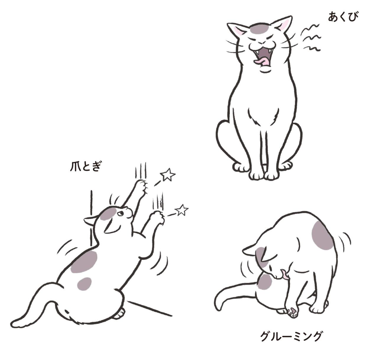 犬と猫、立ち直りが早いのはどっち？ 私たちも見習いたい“切り替え力”（画像3）