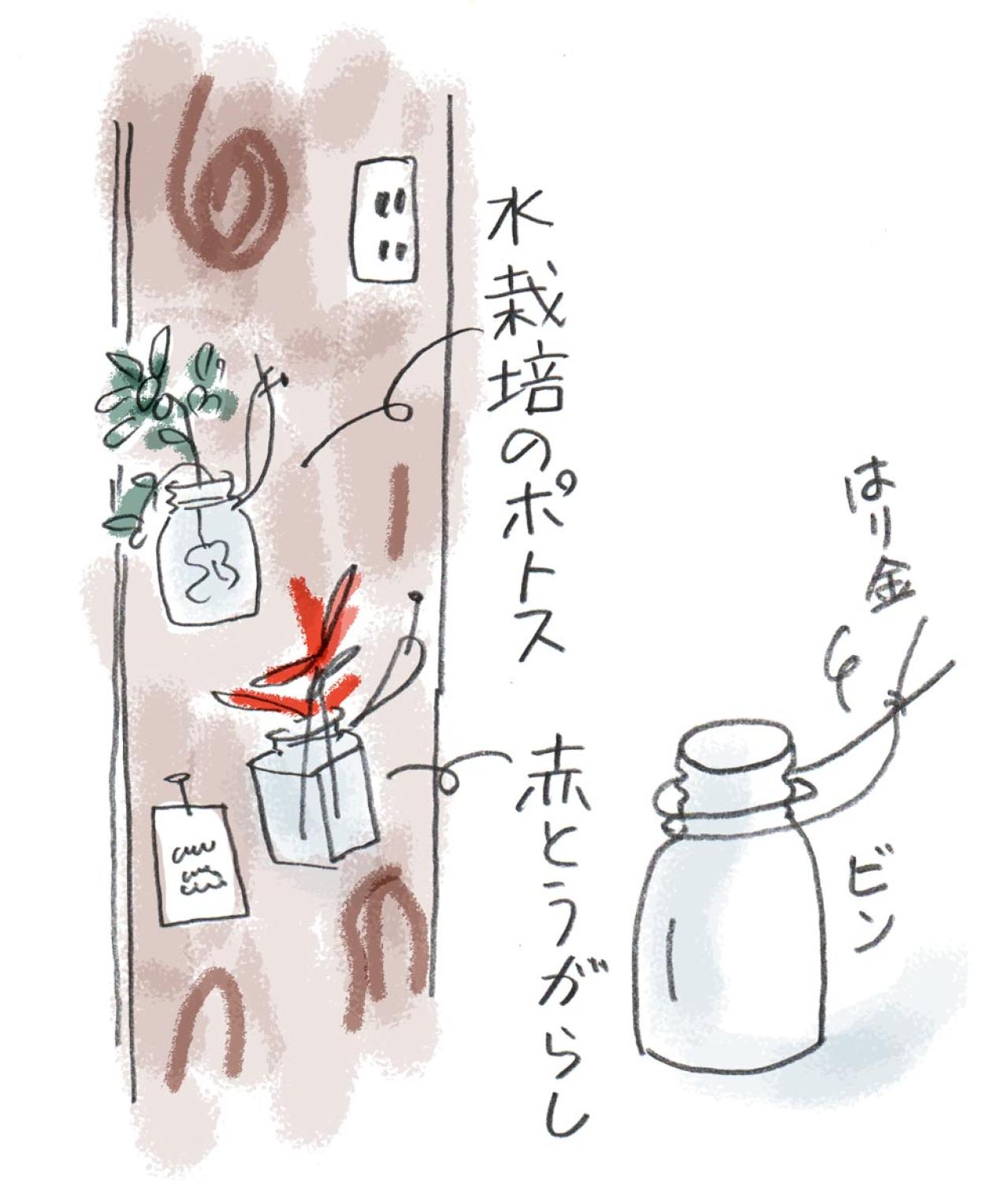 70歳・人気イラストレーターのキッチン「捨てる前にもうひと働きしてもらう！」暮らしの知恵を拝見（画像5）