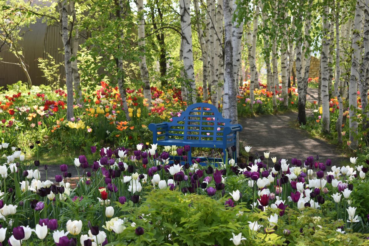 連休後も狙い目！花旅のプロがすすめる【ガーデン2選】「ここにしかないオンリーワンの庭」とは？（画像6）