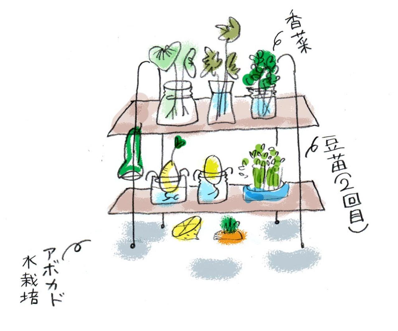 「このアタシが70歳になるなんて!」イラストレーター本田葉子さんのごきげんなキッチンづくり（画像4）