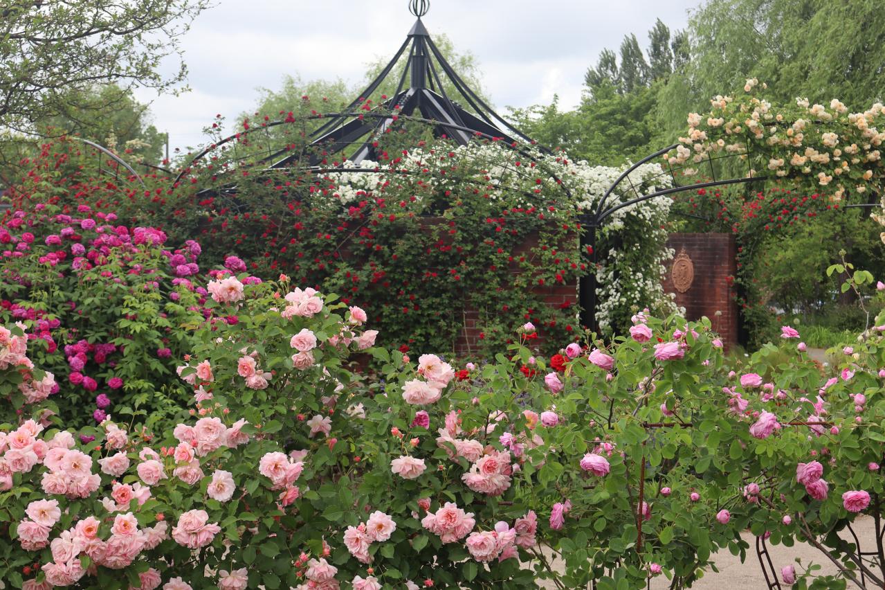 連休後も狙い目！花旅のプロがすすめる【ガーデン2選】「ここにしかないオンリーワンの庭」とは？（画像11）