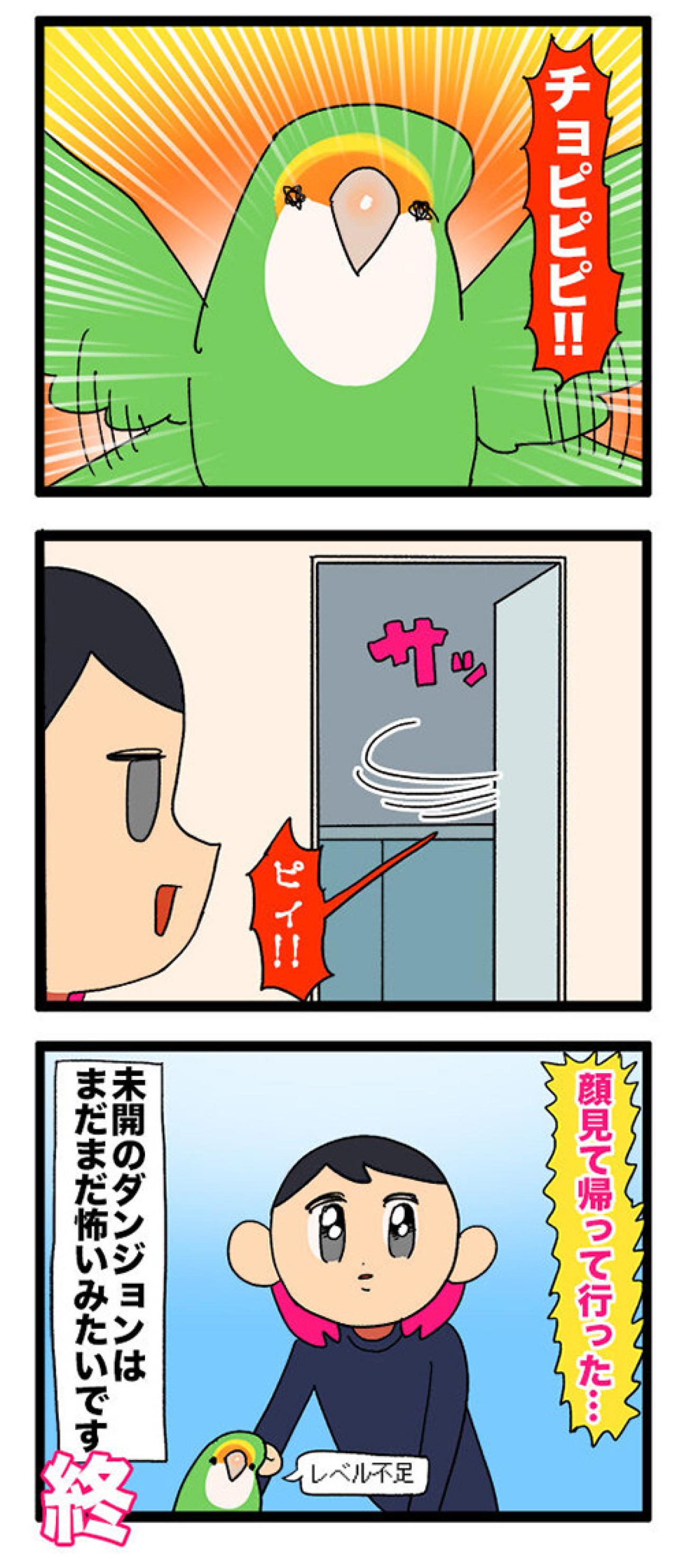 【鳥マンガ＃42】女帝インコが攻略できなかったのは？／インコのせいで自宅の壁が殺風景な理由（画像4）