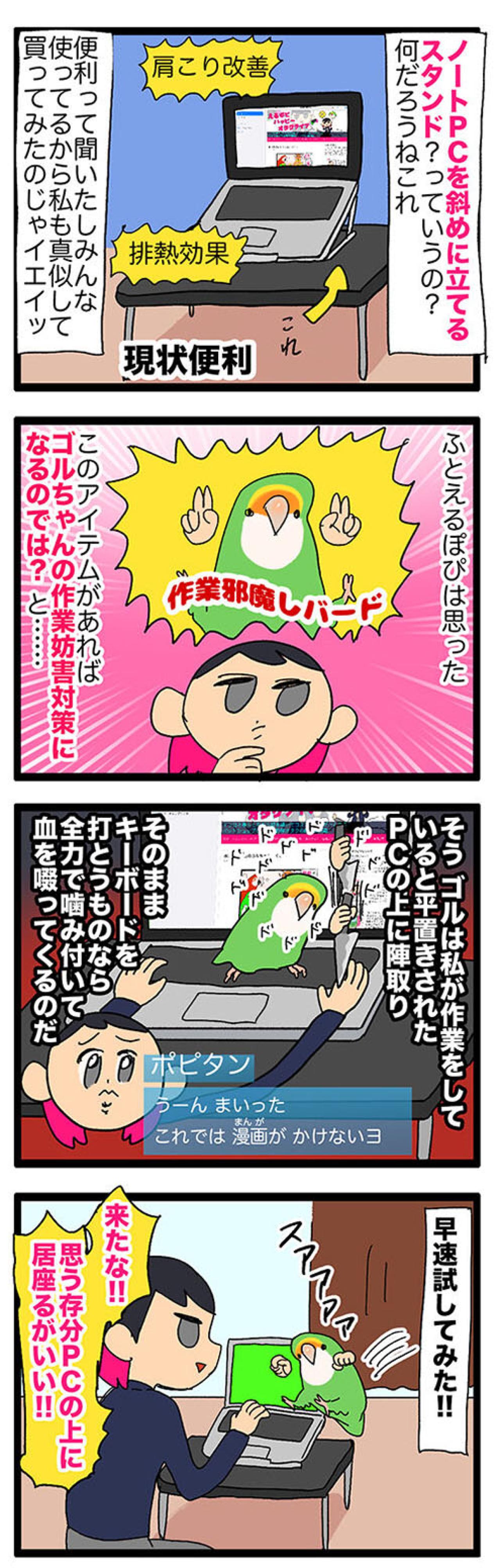 【鳥マンガ＃40】これでインコにパソコン作業を邪魔されないぞ！／壁掛けビタミン剤の悲劇（画像3）