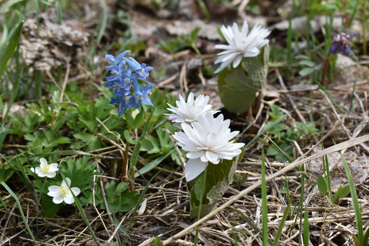 連休後も狙い目！花旅のプロがすすめる【ガーデン2選】「ここにしかないオンリーワンの庭」とは？（画像8）