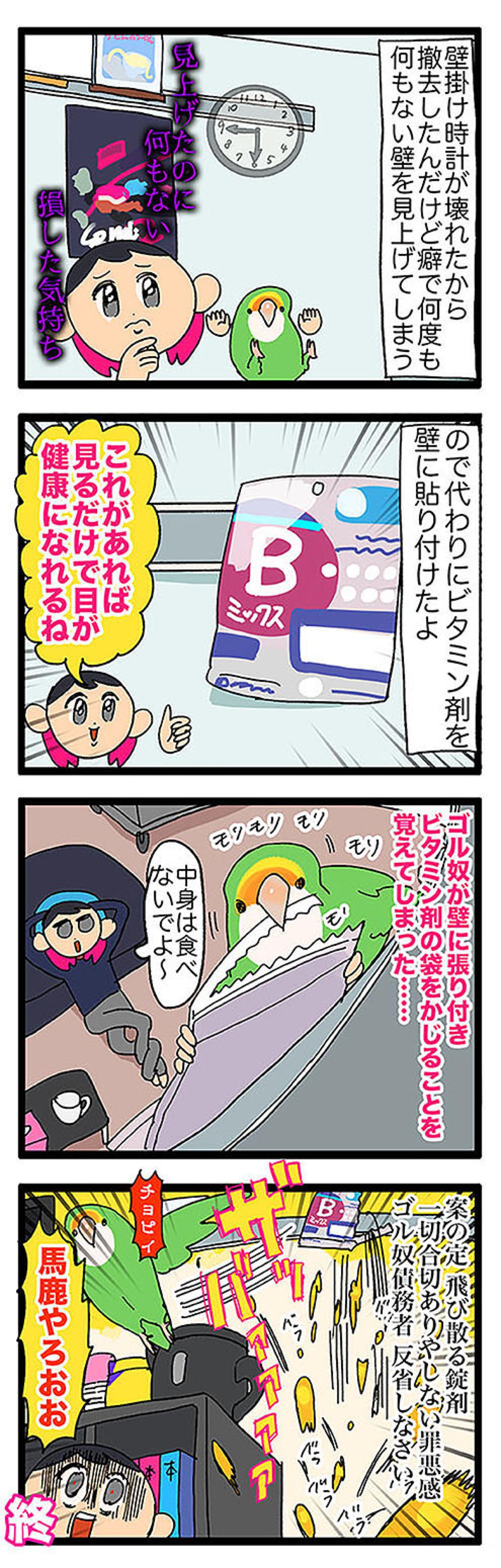 【鳥マンガ＃40】これでインコにパソコン作業を邪魔されないぞ！／壁掛けビタミン剤の悲劇（画像6）