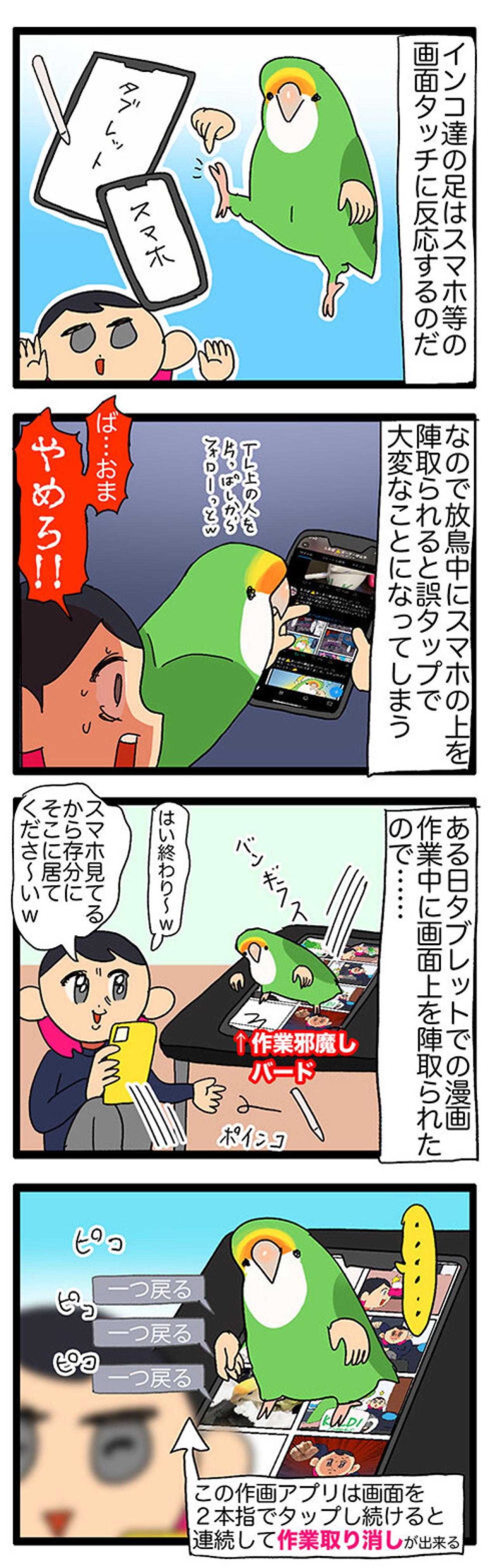 【鳥マンガ＃41】いつまで続く？飼い主の威嚇／タブレット端末を器用に使う令和のインコ（画像5）
