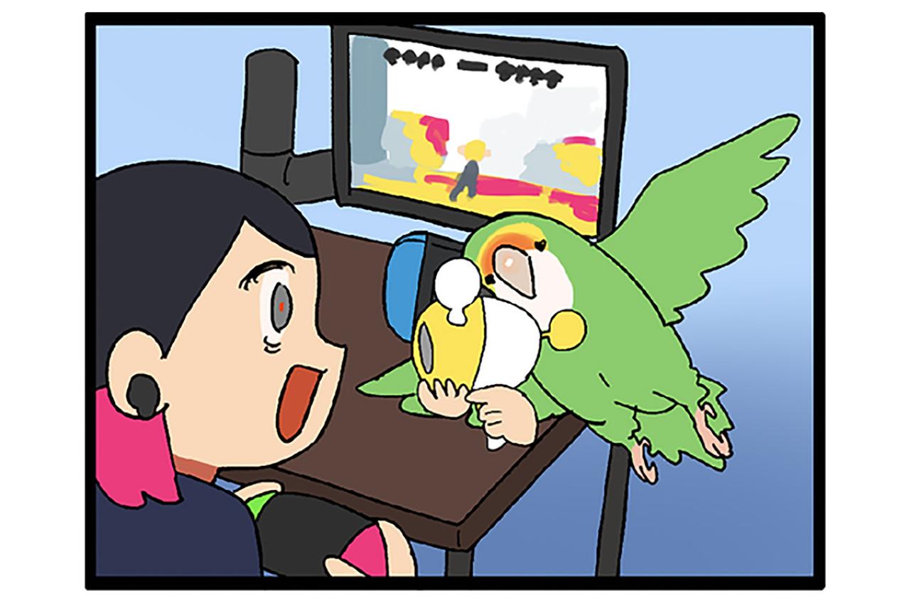 【鳥マンガ＃38】なんとも無駄なゴルちゃんの巣材集め／突如女帝インコに襲われる飼い主