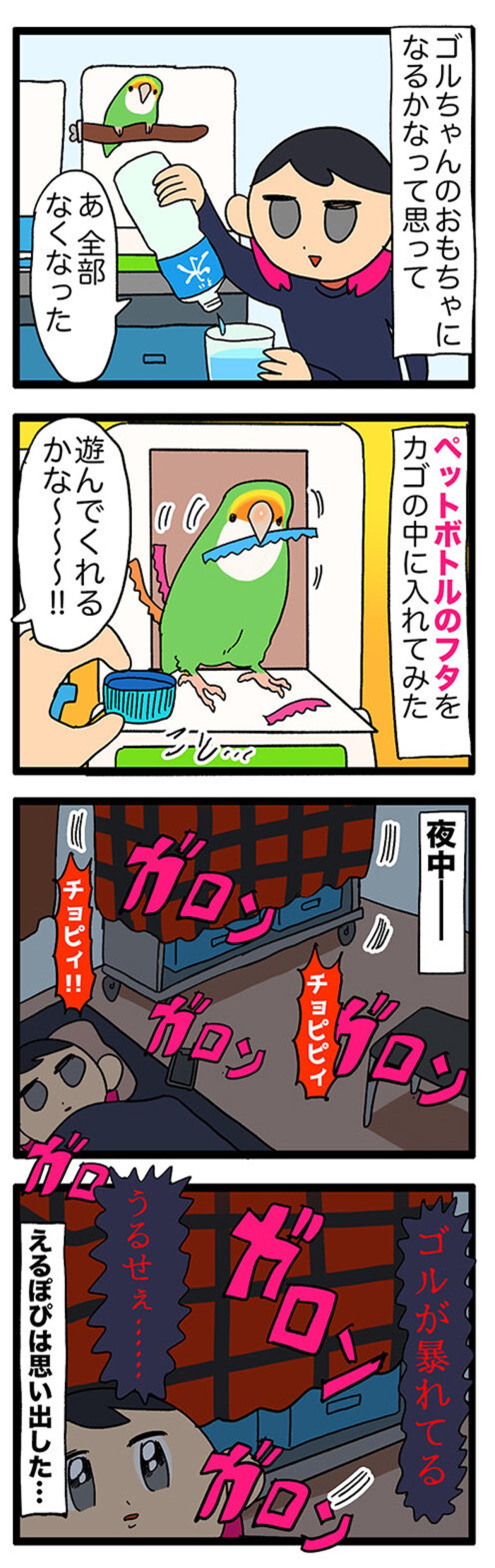 【鳥マンガ＃39】忙しい時間に散らばるインコの毛／おもちゃを絶対に許さないゴルちゃん（画像4）
