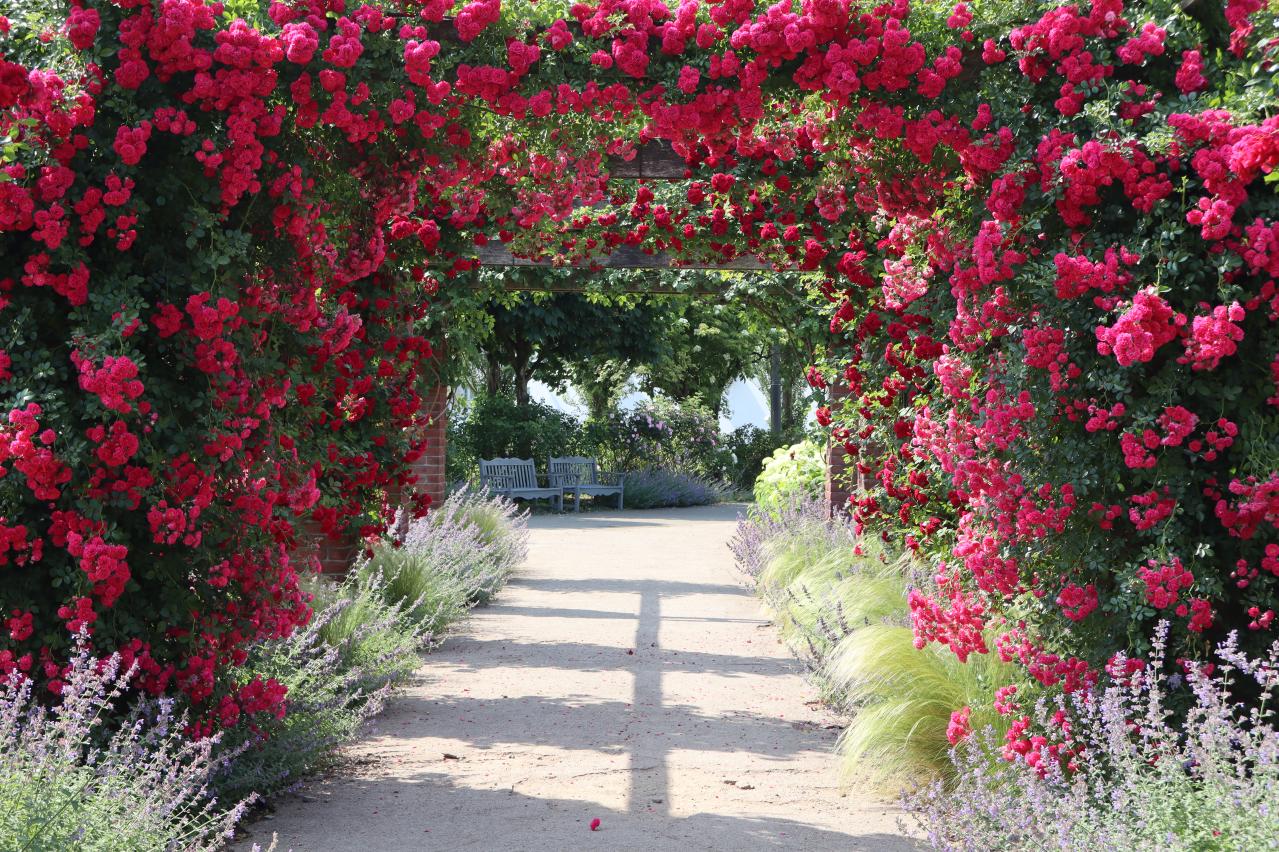 連休後も狙い目！花旅のプロがすすめる【ガーデン2選】「ここにしかないオンリーワンの庭」とは？（画像9）