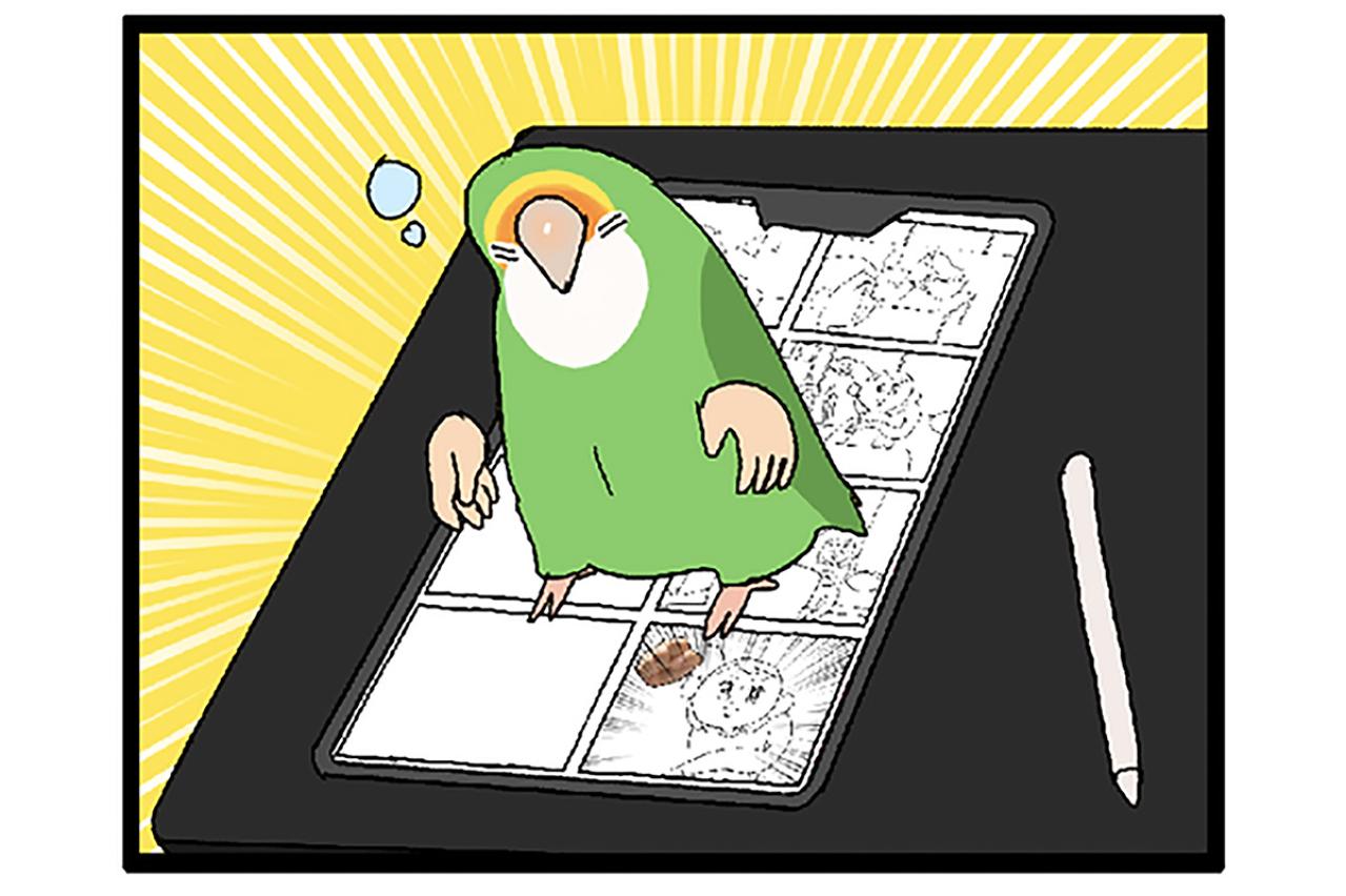 【鳥マンガ＃41】いつまで続く？飼い主の威嚇／タブレット端末を器用に使う令和のインコ