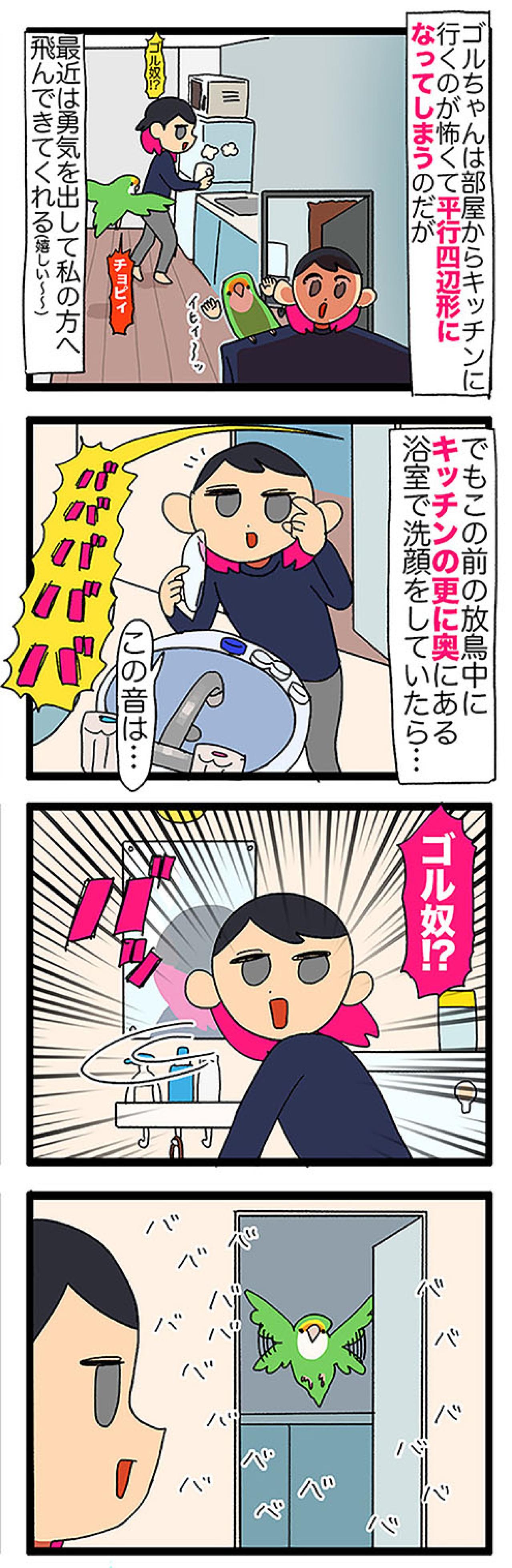 【鳥マンガ＃42】女帝インコが攻略できなかったのは？／インコのせいで自宅の壁が殺風景な理由（画像3）