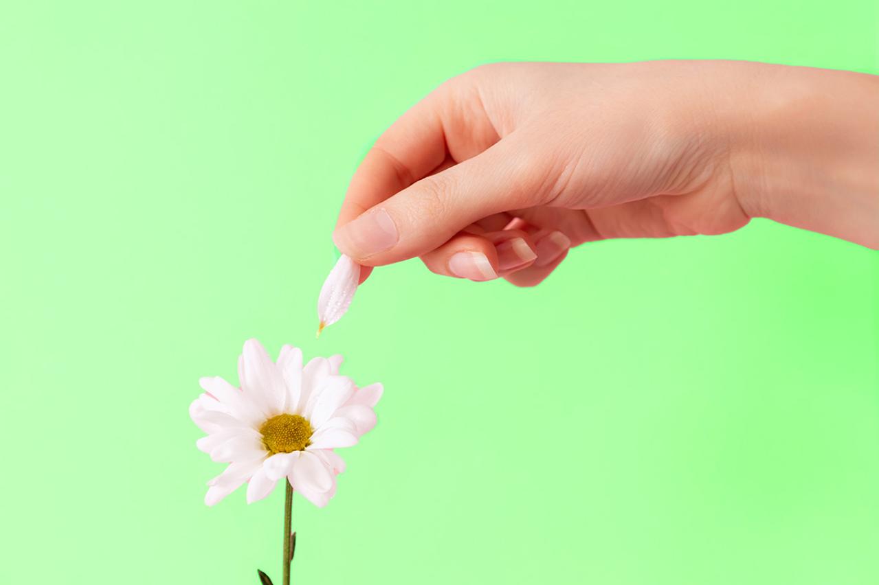 島崎藤村の『若菜集』あらすじ紹介。感動が詰まる！生命の神秘を詰めた『若菜集』の魅力とは