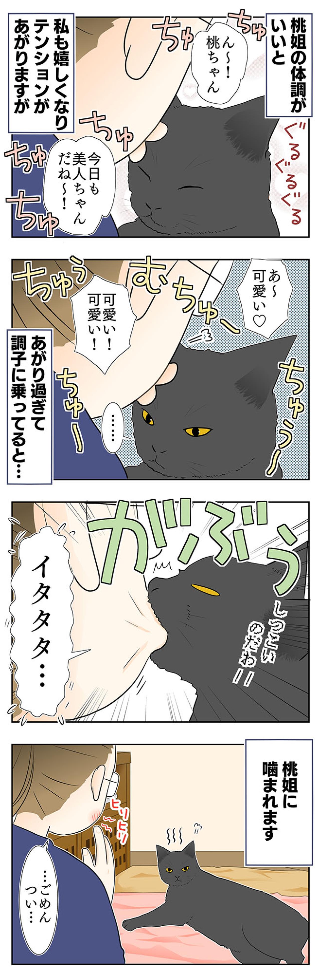 【マンガ・老猫日誌＃27】健康のバロメーターは「ペロペロ」。19歳の元保護猫・桃姐（画像3）