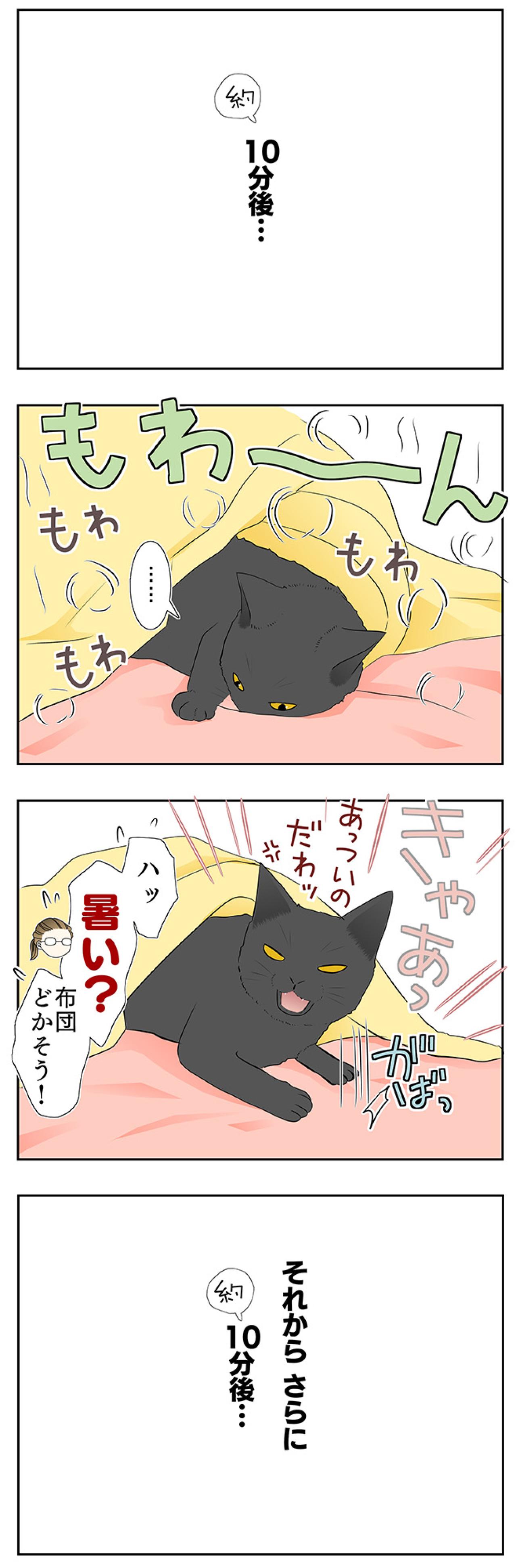 【マンガ・老猫日誌＃28】老猫とのループする日常？ 19歳の元保護猫・桃姐（画像3）