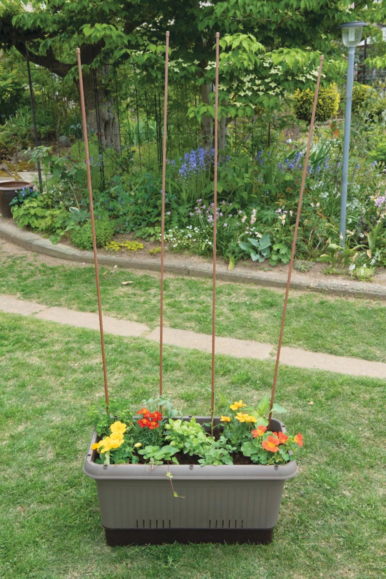 【ガーデニング】庭がなくてもOK！たくさん収穫できる「コンテナ菜園」春〜夏バージョン（画像21）