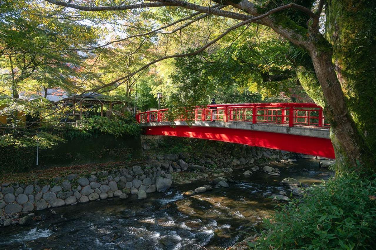 岡本綺堂の『修禅寺物語』あらすじ紹介。運命、愛、名声に翻弄される人間模様を丹念に描いた名作