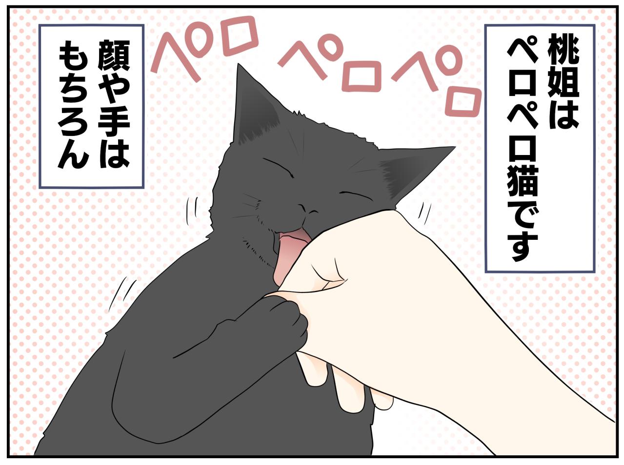 【老猫マンガ】健康のバロメーターは「ペロペロ」。18歳の元保護猫・桃姐［＃27］