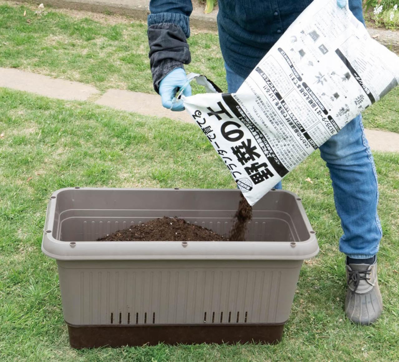 【ガーデニング】庭がなくてもOK！たくさん収穫できる「コンテナ菜園」春〜夏バージョン（画像8）